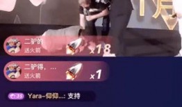 二子爷爆料驴爸视频播放,驴爸视频播放背后的惊人真相