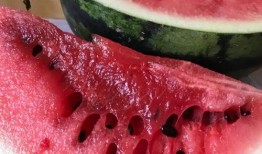 西瓜视频以色列爆料,揭秘西瓜视频背后的真相